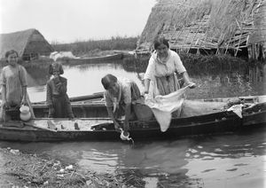 알부페이라에서 일하는 여성들 (1915년경)