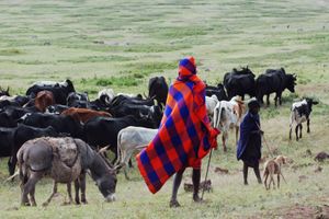 마사이족과 같은 지역 토지 이용자들과의 IUCN의 관계는 과거 논란을 불러일으켰다.