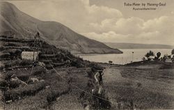 북수마트라(North Sumatera) 하랑가올(Haranggaol)에서 새들로부터 벼 논을 지키는 사람. 농업은 토바 호 주변의 주요 생계 수단 중 하나이다.