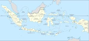 인도네시아의 주