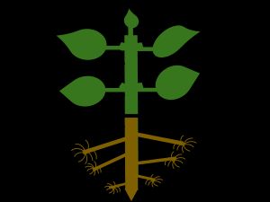 종자식물의 해부학적 구조. 1. 줄기계. 2. 뿌리. 3. 하배축. 4. 정아. 5. 잎몸. 6. 마디 사이. 7. 액아. 8. 엽병. 9. 줄기. 10. 마디. 11. 주근. 12. 뿌리털들. 13. 뿌리 끝. 14. 근관