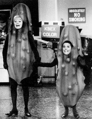 루시가 돌아왔다, 1973년