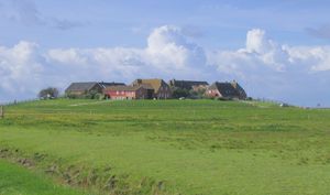 할리히 호게(Hallig Hooge)에서도 볼 수 있는 야트막한 언덕은 북해의 바닷가에 집을 지을 때 차오르는 물로부터 안전을 얻기 위해서 만들어졌다