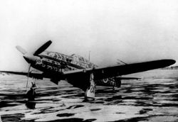 3식 전투기의 정면 사진. 가는 수랭 엔진을 장착하고 있다