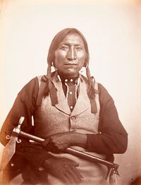 귀파고, 키오와족 추장