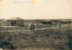 아후자 거리, 라아나나(1927)