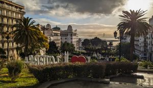 알제의 아침 풍경