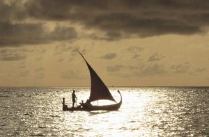 도니(몰디브, 2006년)