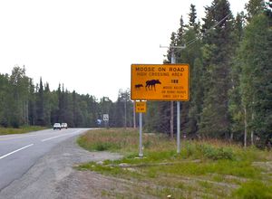 알래스카 케나이(Kenai, Alaska)의 무스(moose) 통행 표지판과 사망자 수 카운터. 도로 근처의 나무와 덤불은 무스를 더 쉽게 볼 수 있도록 잘라냈다.