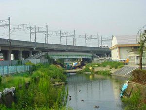 주오구를 흐르는 고누마가와(鴻沼川)