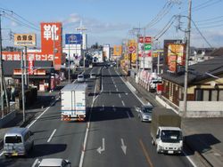 국도 407호선변 로드사이드 점포(国道407号沿道のロードサイド店)