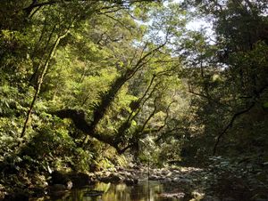 주요 신야 계곡