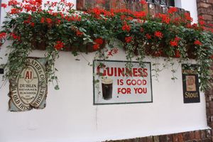 기네스 광고는 "기네스는 당신에게 좋습니다"라고 말합니다.