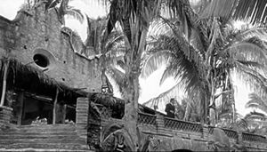 푸에르토 바야르타의 미스말로야 해변에 있는 허스턴의 이구아나의 밤 세트장