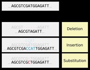 소규모 돌연변이 유형