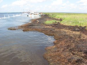 2010년 9월 15일, 플래커민스 교구 베이 지미의 심한 유류 오염