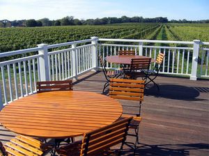 롱아일랜드의 노스포크에 있는 포도밭과 데크