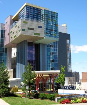 업스테이트 아동병원 (뉴욕주립대학교 업스테이트 의과대학)