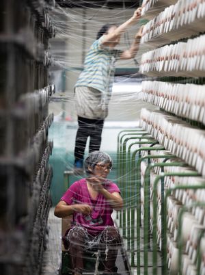 현대 섬유 공장에서 직조를 위해 준비 중인 마닐라 삼 마 섬유