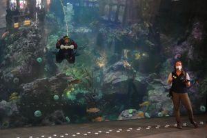 Window on Washington Waters 전시의 다이빙 쇼