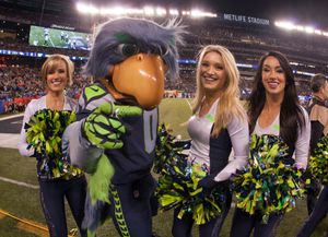 슈퍼볼 XLVIII에서 블리츠와 시걸스