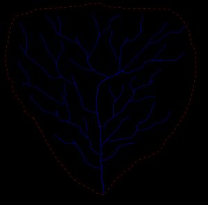 수계(수문) 분지의 위에서 내려다본 그림. 점선은 수계 분지의 주요 분수령이다.