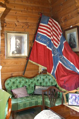 이 애국적인 깃발 그림은 미국인 친구이자 바이올리니스트 겸 작곡가인 올레 불(1818~1880)에게 뉴욕 필하모닉 소사이어티로부터 선물로 주어졌다. 노르웨이 국기는 노르웨이-스웨덴 연합기 "실데살라텐" 대신 연합 마크가 있는 미국의 별 깃발이다.