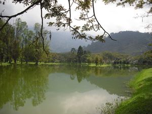 태핑 호수 정원(Taiping Lake Gardens)의 파노라마 전경(부킷 라룻(Bukit Larut), 이전 광산 지역)