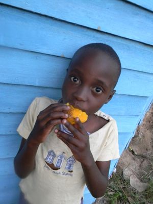 짐바브웨 하라레(2017)에서 망고를 먹는 소년