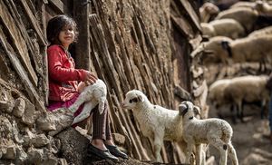 이란 길란데(Gilandeh), 카라즈길(Kharajgil)의 소녀와 어린 양들 (2018)