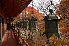 탄산 신사의 등롱(Hanging lanterns)