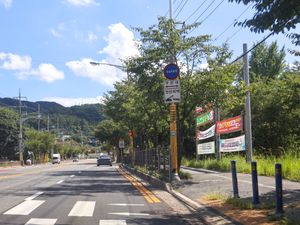 대전 삼정동 어린이보호구역 구간