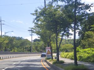 인도는 원래 적색과 옥색이었으나 2019년 흑색으로 바뀌었다. 사진은 2024년 7월 촬영.