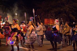 사우스다운스 마디그라 퍼레이드, 2014