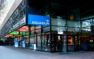 디스커버리 플레이스