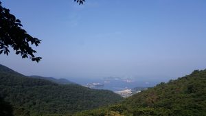 가덕도에서 바라본 거가대교의 모습.