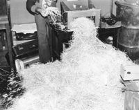 슈레더에 걸린 대사관의 기밀 서류