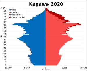 2020년 가가와현 인구 피라미드
