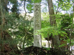 마쓰다이라씨 발상지 (아이치현 도요타시 마쓰다이라정)