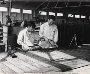 벨 M. 시마다와 프레드 클리버가 가다랑어를 조사하는 모습