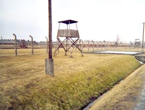 제2 철조망과 감시탑