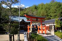 쿠로카와 다이사이 신사(黒川大歳神社)