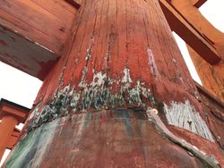 균열 부분에 많은 동전이 끼워져 있다.