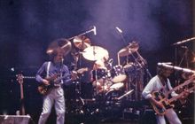 트리오 시대 - 듀크 투어(1980년)