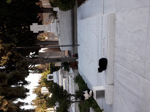 아테네 제1묘지에 있는 포피 게니마타와 그녀의 아버지 묘비