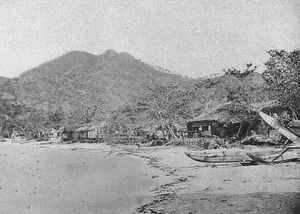 메이지 시대의 치치지마(父島)(센푸라(扇浦))