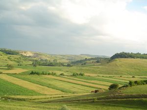 트란실바니아의 전원 풍경. 초원과 작은 구릉의 숲이 보인다.