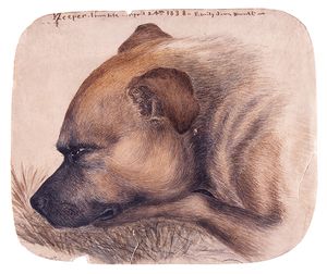 에밀리 브론테가 1838년 4월 24일에 수채화로 그린 키퍼