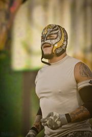 2010년, Tribute To The Troops