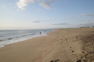 나토리시(名取市)의 사구(砂浜, 2020년 10월)